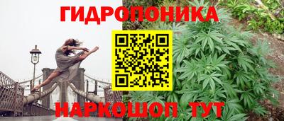 стафф Пушкино